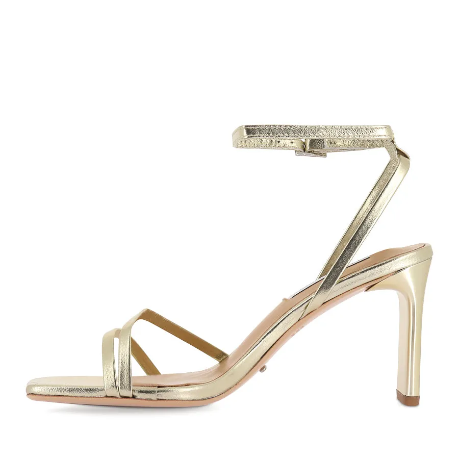 CORSO - GOLD FOIL