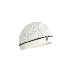 Icebreaker Waypoint Beanie