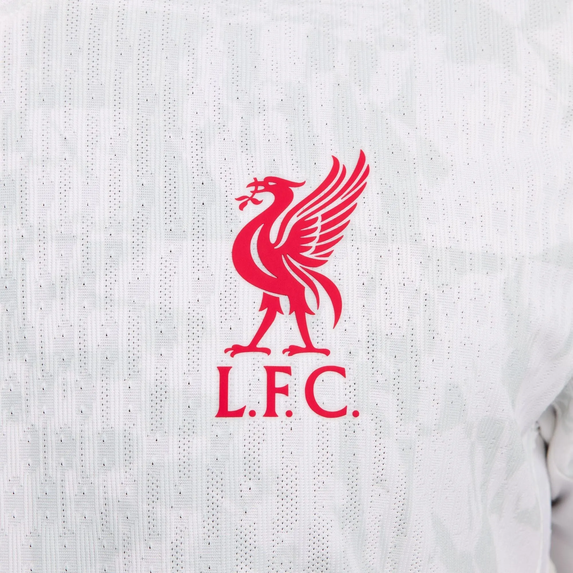 Liverpool FC 24/25 Match Third Jersey (FQ2013-101)