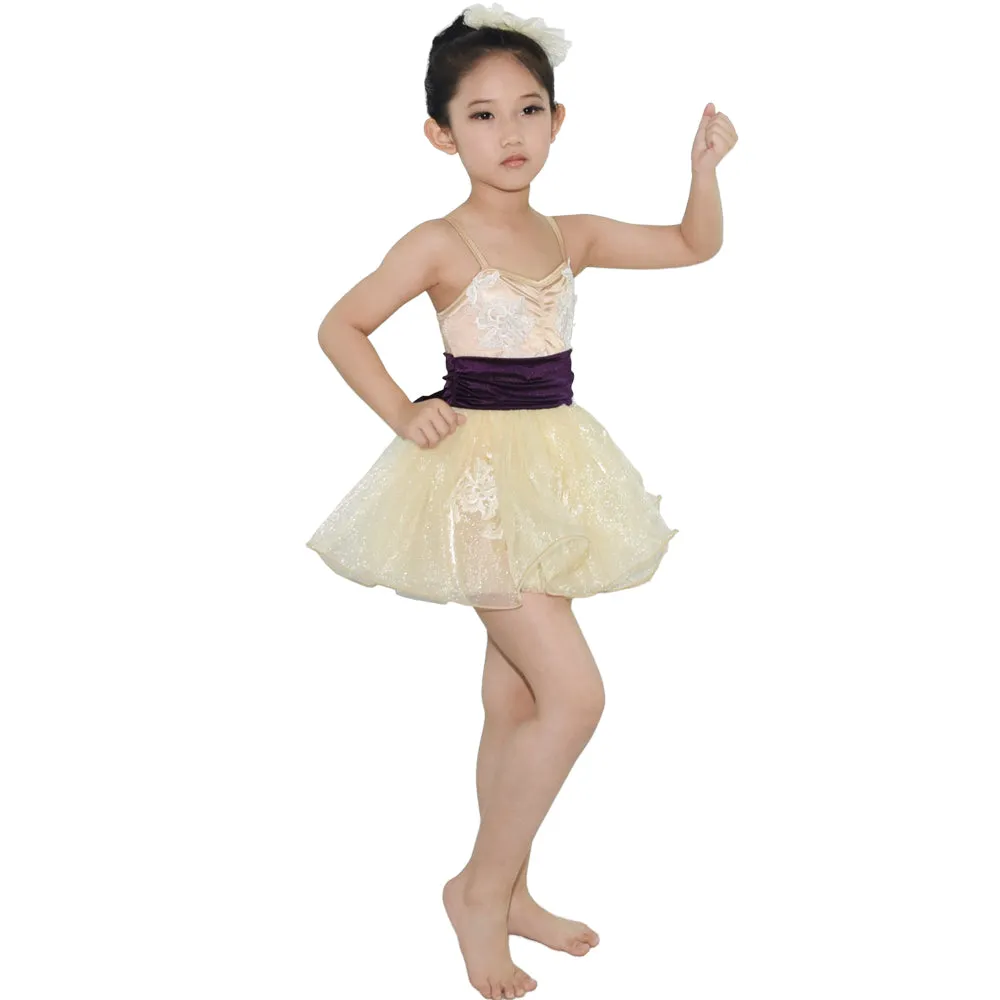 Luxurious Champagne Beige Tutu Dress