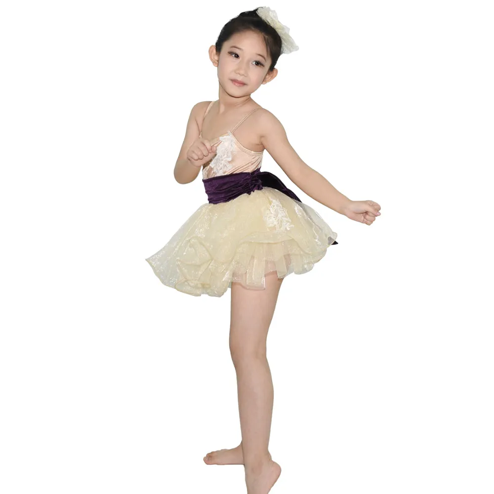 Luxurious Champagne Beige Tutu Dress