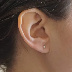 Pearl Stud Earrings: Simple and Modern Design for Everyday Style | Available in Various Materials 0275