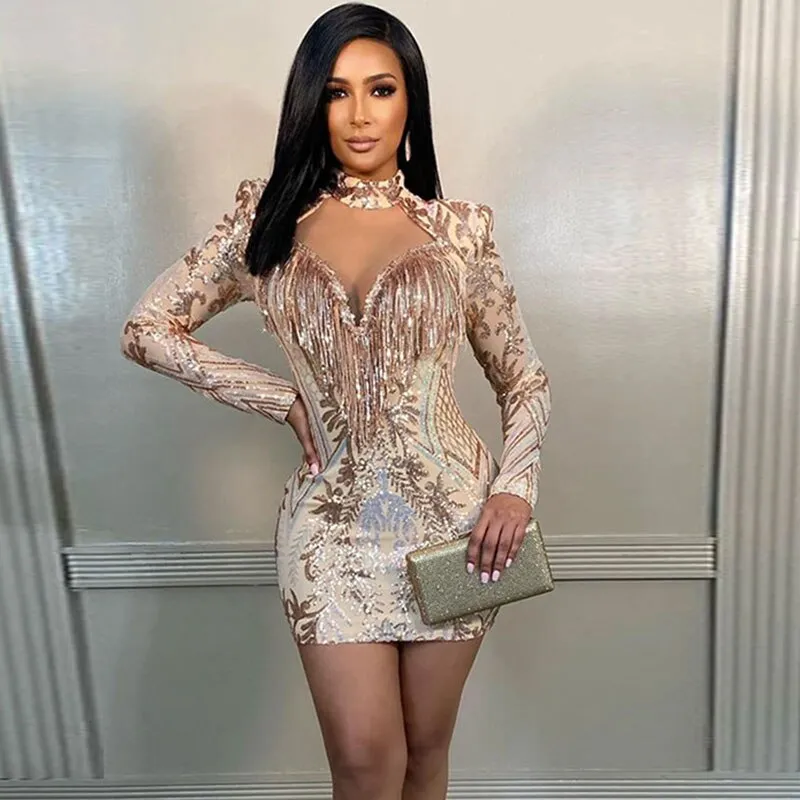 Sparkly Tassel Sequin Dress