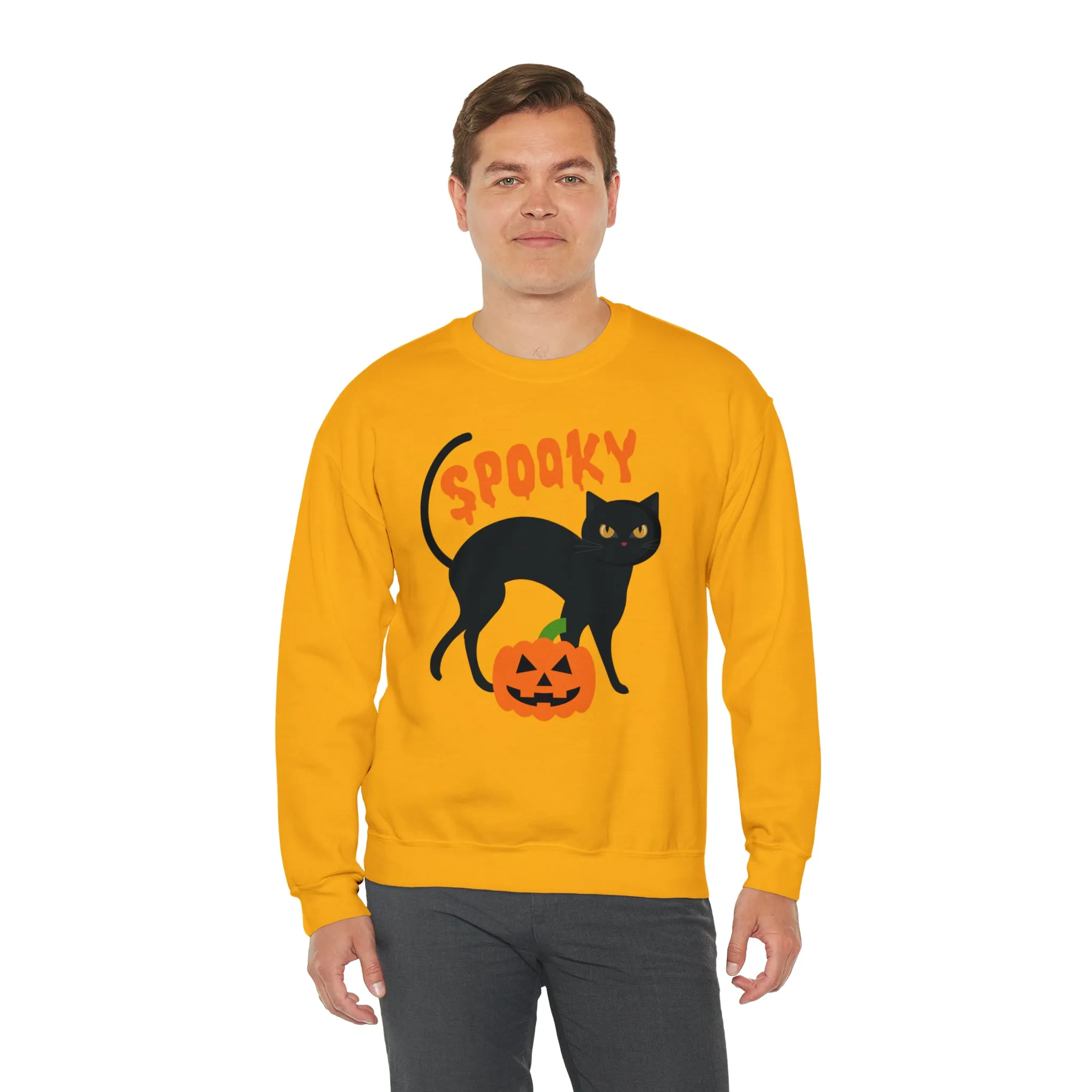 Spooky Halloween Cat Sweatshirt, Autumn Pumpkin Shirt , Funny Black Cat Sweatshirt, Women's Fall Season Shirt, Fall Unisex Heavy Blend