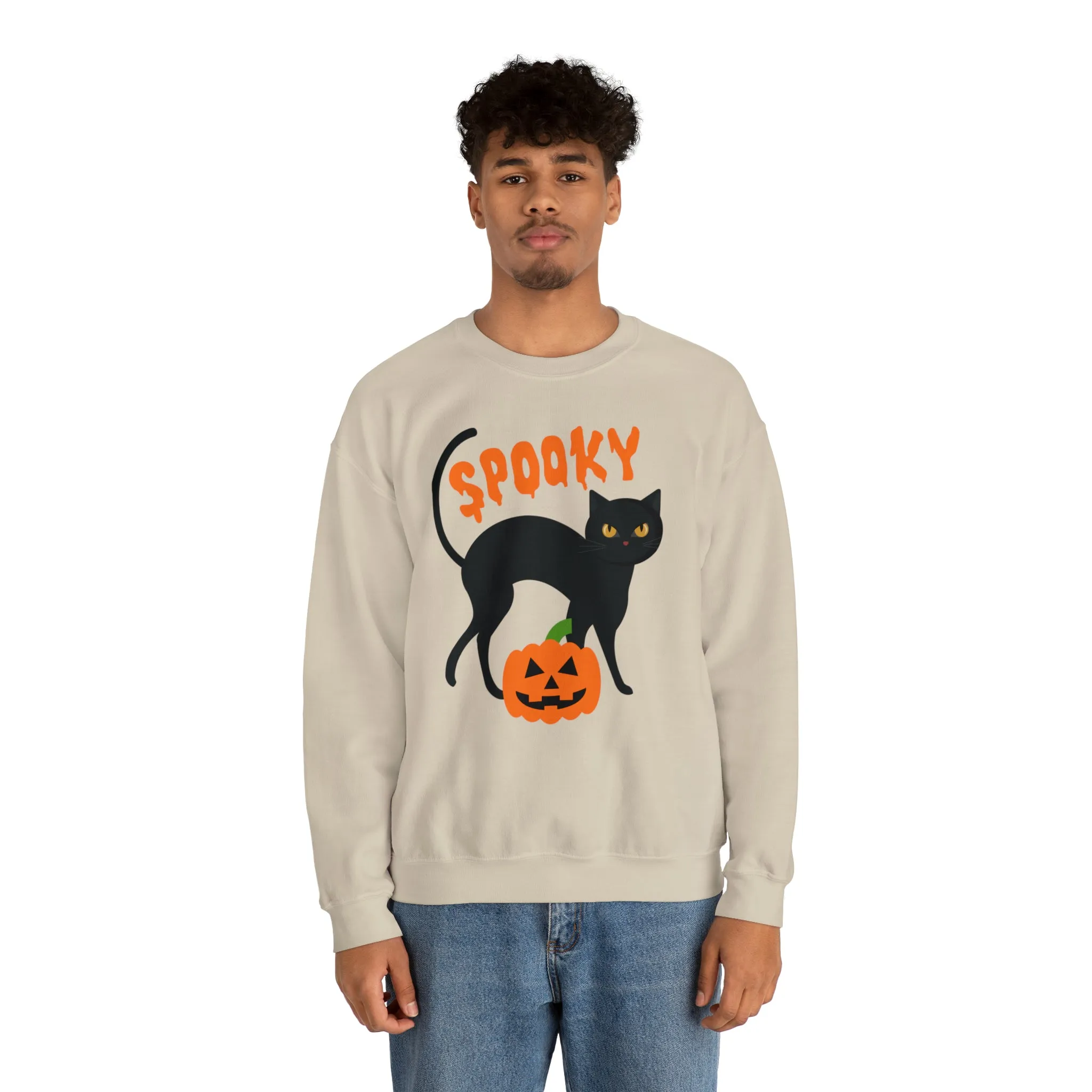 Spooky Halloween Cat Sweatshirt, Autumn Pumpkin Shirt , Funny Black Cat Sweatshirt, Women's Fall Season Shirt, Fall Unisex Heavy Blend