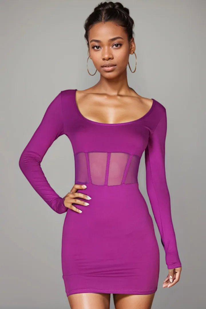 Square Neck Mesh Corset Mini Dress