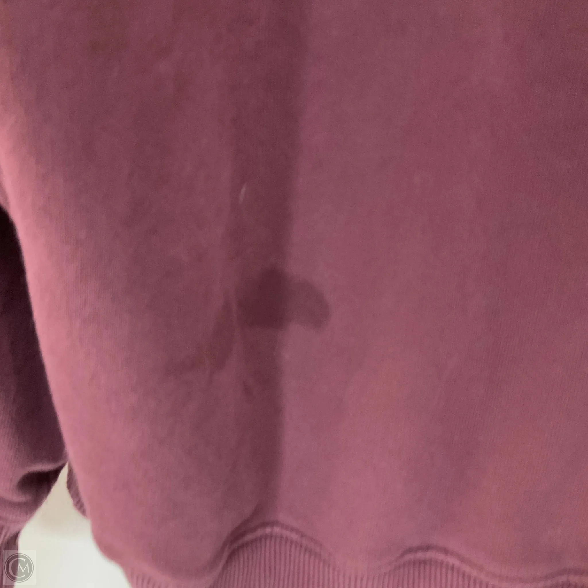 Sweatshirt Crewneck By Aerie In Purple, Size: S