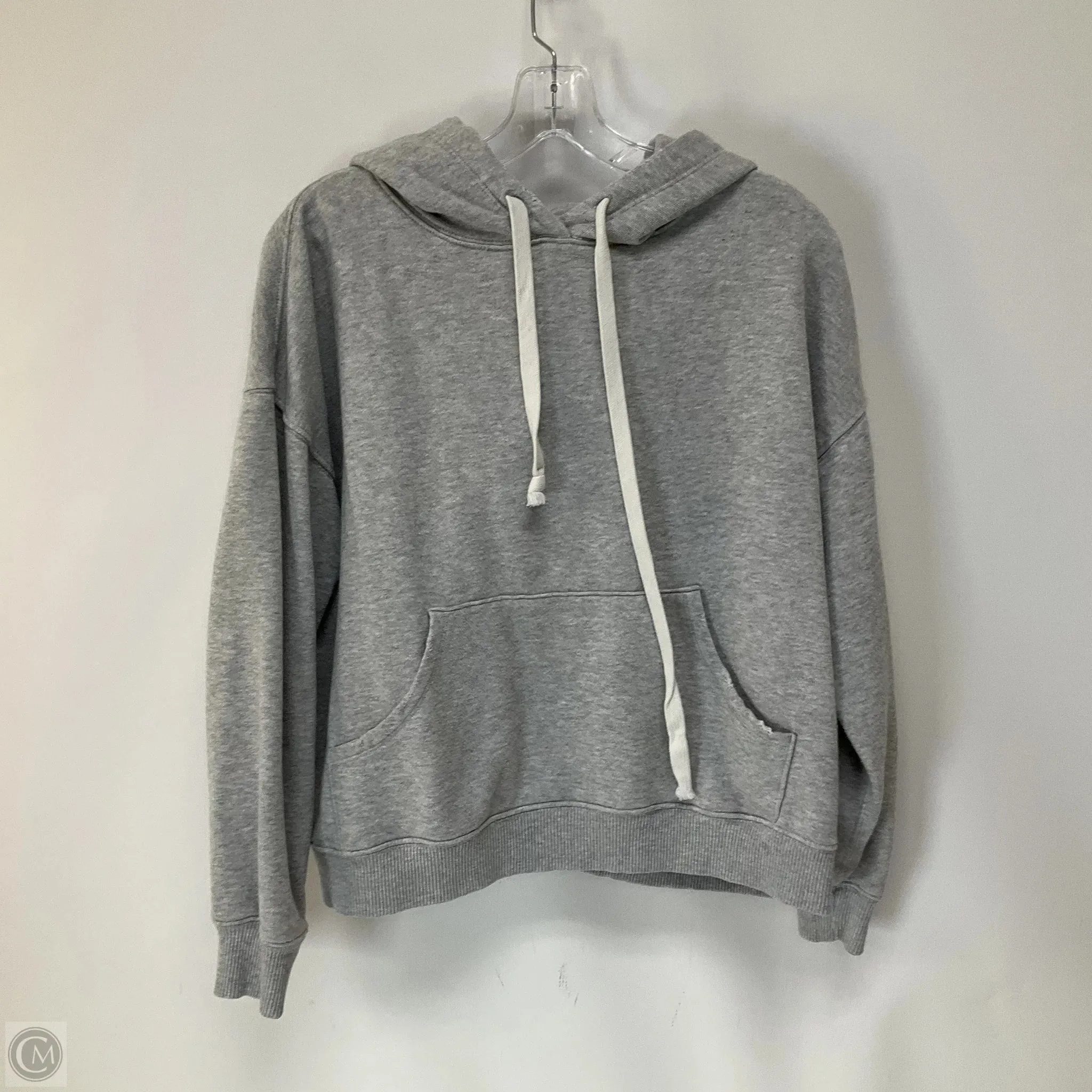 Sweatshirt Hoodie By Aerie In Grey, Size: S
