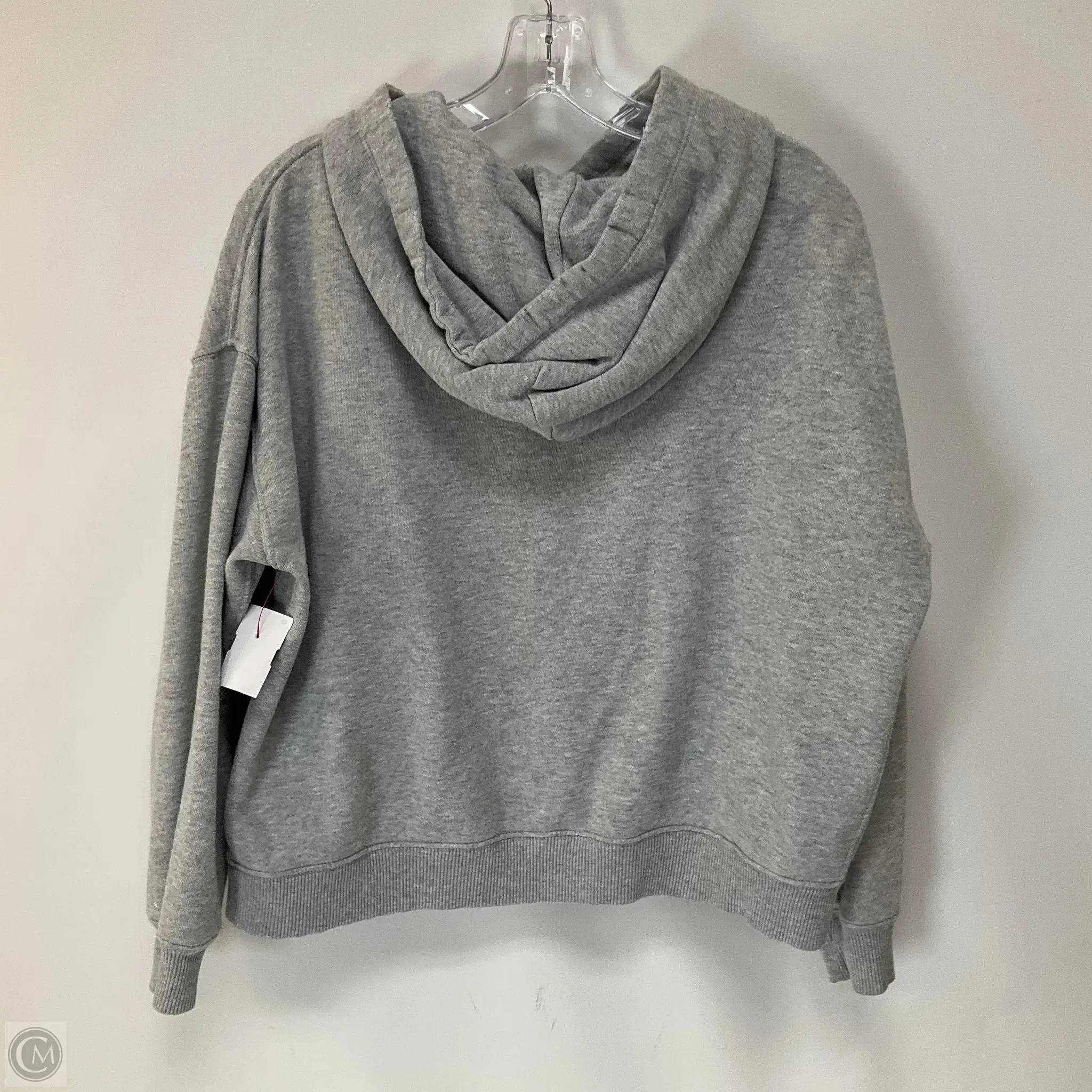Sweatshirt Hoodie By Aerie In Grey, Size: S