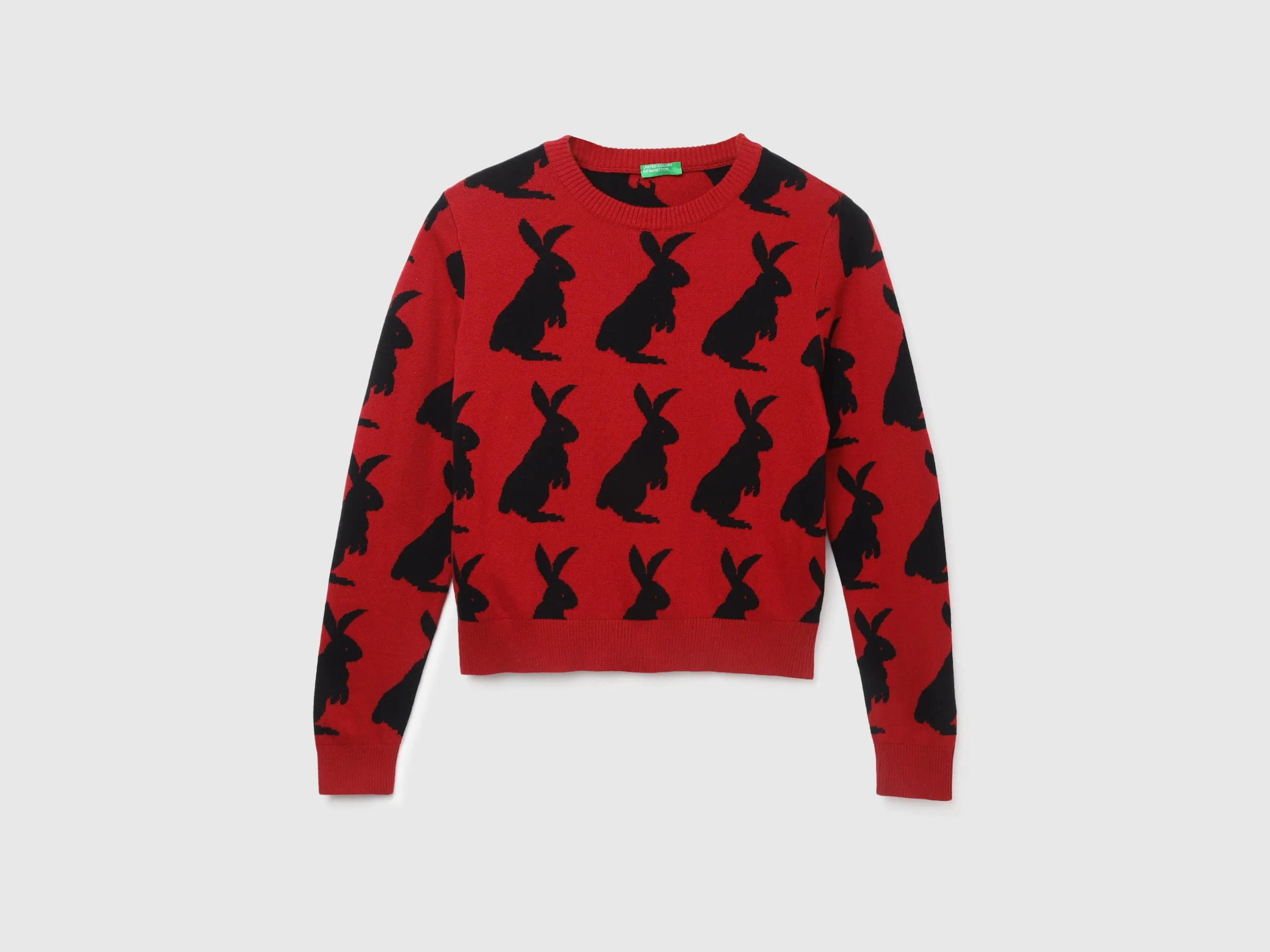 Women's Regular Fit Round Neck Printed Sweater