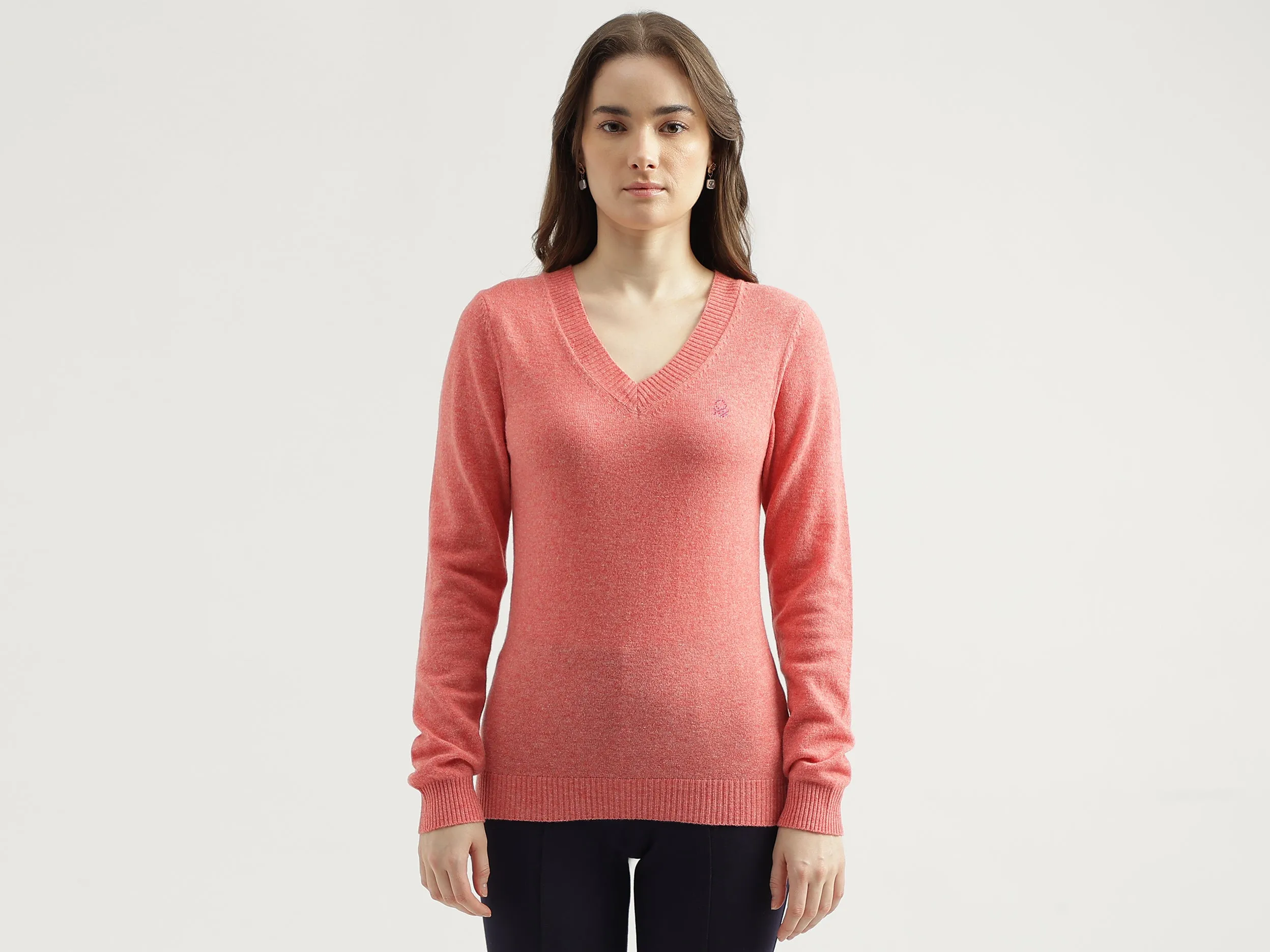 Women's Regular Fit V-Neck Solid Sweater