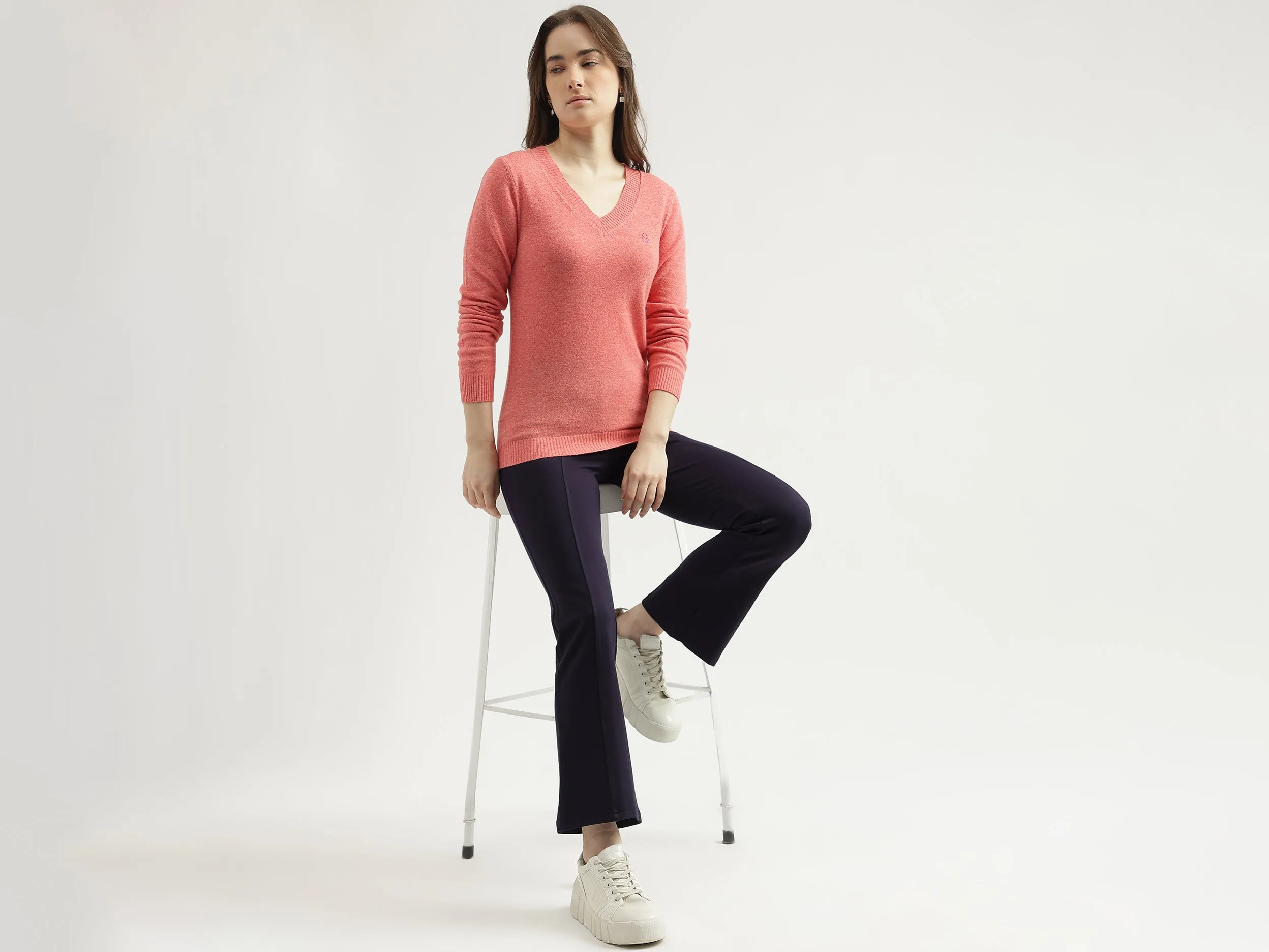 Women's Regular Fit V-Neck Solid Sweater