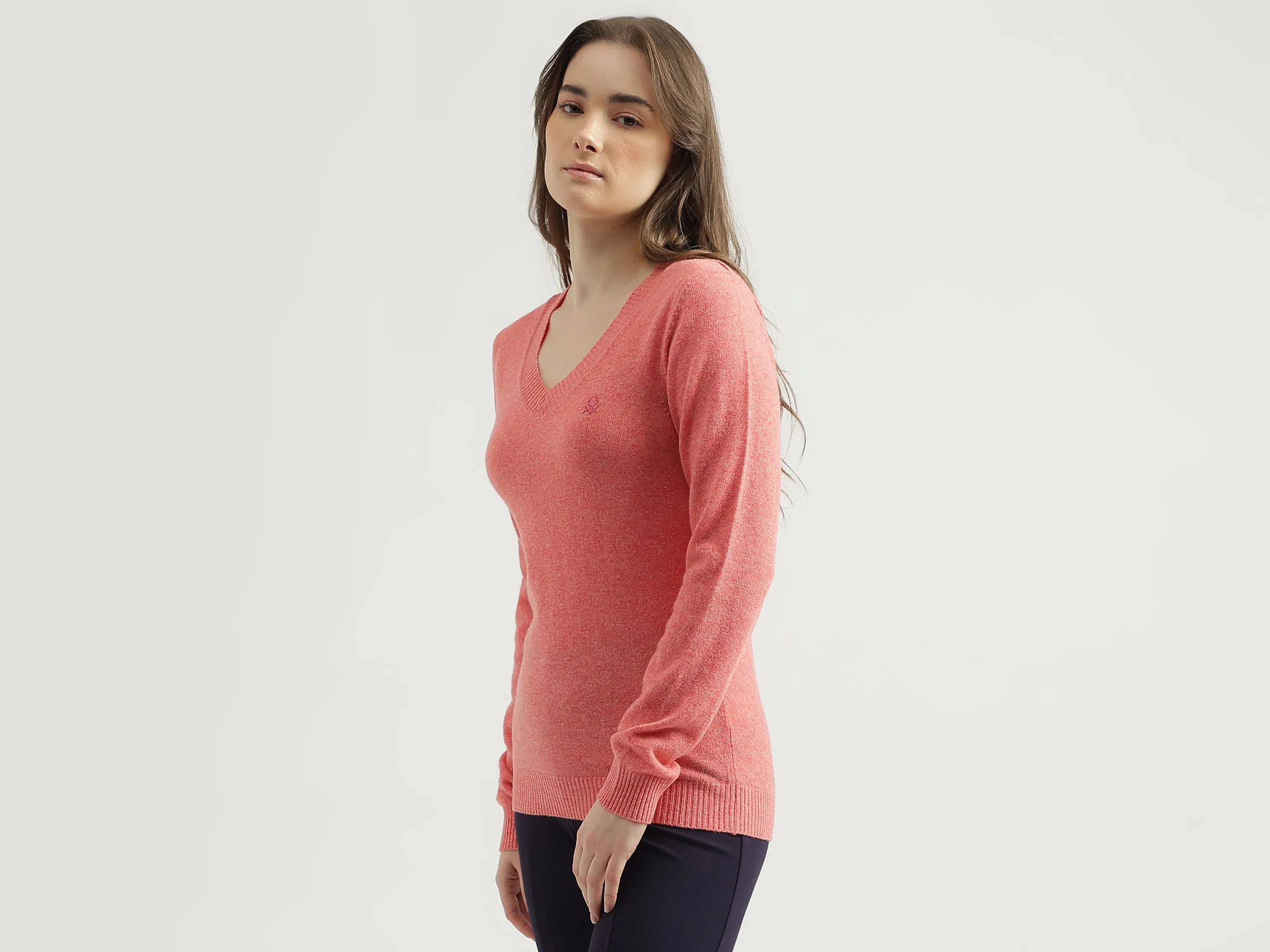 Women's Regular Fit V-Neck Solid Sweater
