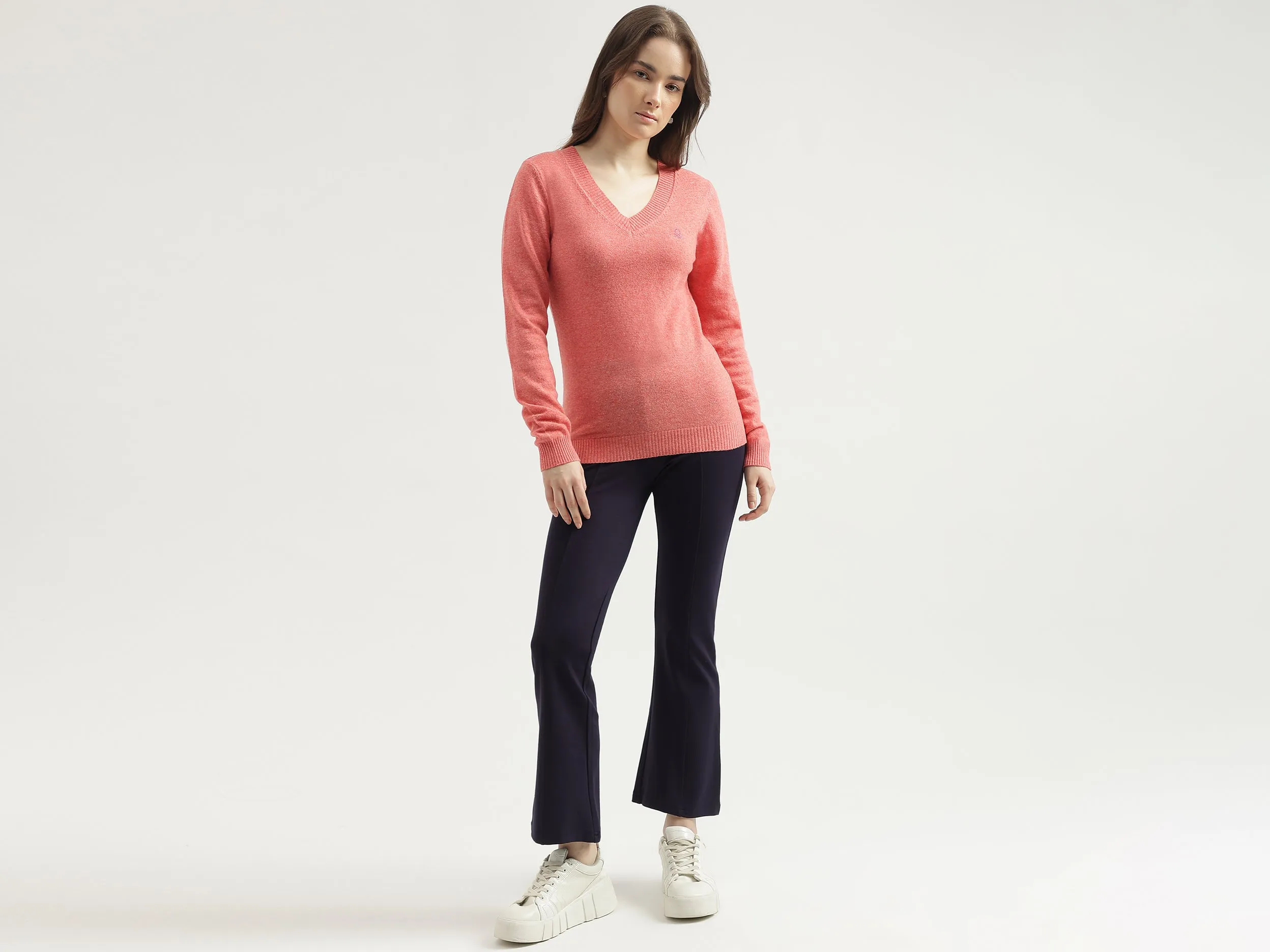 Women's Regular Fit V-Neck Solid Sweater